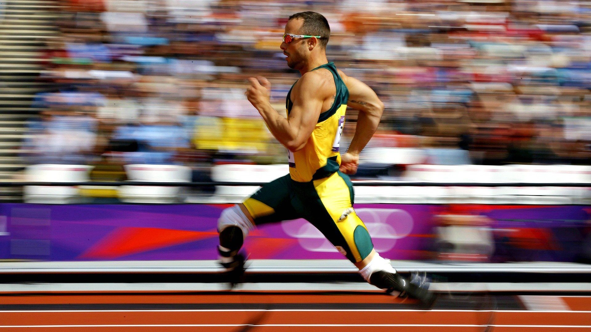 乐鱼在线登录-未来五年的F1布局：技术与策略的变革，f1未来发展